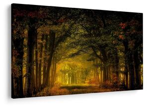 Tablou cu pădure (90x60 cm)