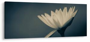 Tablou cu flori (120x50 cm)