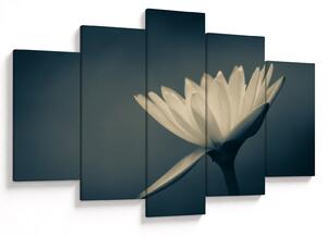 Tablou cu flori (150x105 cm)