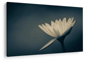 Tablou cu flori (90x60 cm)