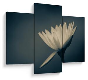 Tablou cu flori (90x60 cm)