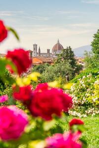 Fotografie Florence, Tuscany, Italy. Roses and cityscape, Francesco Riccardo Iacomino
