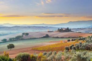 Fotografie Landscape in Tuscany, Italy, mammuth