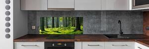 Sticlă bucătărie pădure de molid