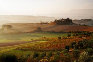 Fotografie View across Tuscan landscape., Gary Yeowell
