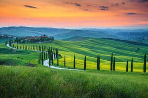 Fotografie Famous Tuscany landscape with curved road, Janoka82