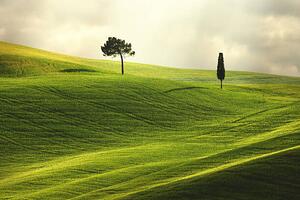 Fotografie Landscape in Tuscany, Peter Zelei Images