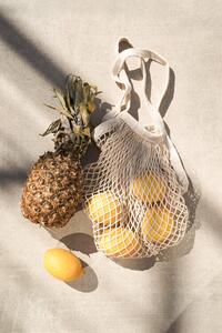 Ilustrație Summer Fruits, Henrike Schenk