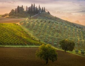 Ilustrație Tuscany, Adrian Popan