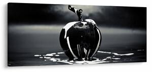 Tablou cu mărul negru (120x50 cm)