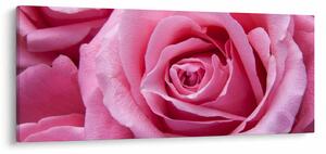 Tablou cu trandafir (120x50 cm)