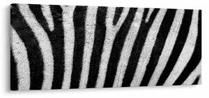Tablou cu piele de zebră (120x50 cm)