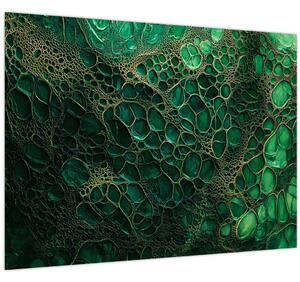 Tablou - Imagine microscopică verde (70x50 cm)