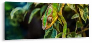 Tablou cu cameleon (120x50 cm)