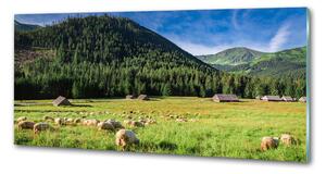 Panou sticla securizata bucatarie Oi în munții Tatra