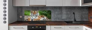 Sticlă printata bucătărie tigru siberian