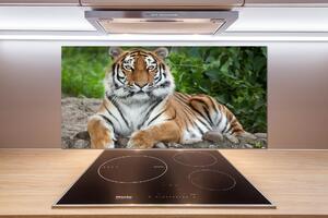 Sticlă printata bucătărie tigru siberian