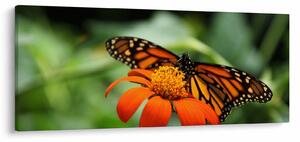 Tablou cu fluture pe floare (120x50 cm)