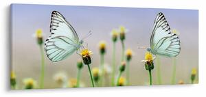 Tablou cu fluture pe floare (120x50 cm)