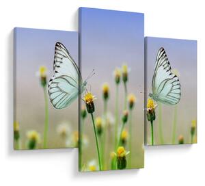Tablou cu fluture pe floare (90x60 cm)