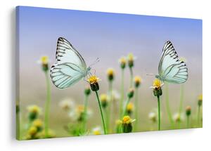 Tablou cu fluture pe floare (90x60 cm)