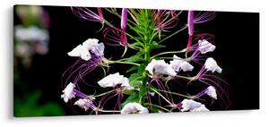 Tablou cu floare (120x50 cm)