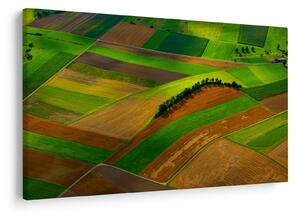 Tablou cu floare (90x60 cm)