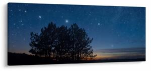 Tablou cu copaci noapte (120x50 cm)