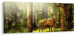 Tablou cu cerbul în pădure (120x50 cm)