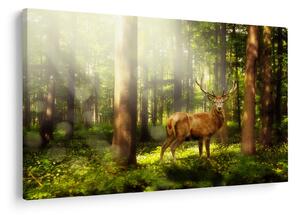 Tablou cu cerbul în pădure (90x60 cm)