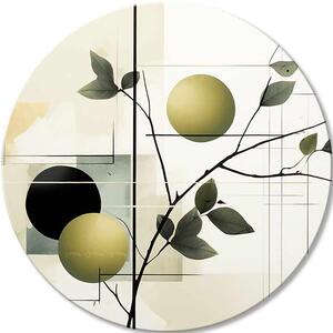 Tablouri rotunde cu acrilic Plantație de măslini | different dimensions