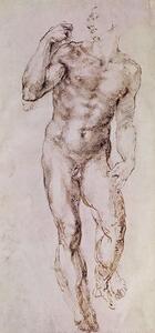 Michelangelo Buonarroti - Reproducere Sketch of David with his Sling, 1503-4, (23.3 x 50 cm)