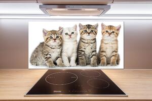 Sticlă bucătărie pisici de talie mică