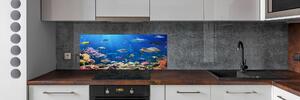 Panou perete bucătărie recif de corali