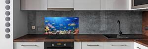 Panou perete bucătărie recif de corali