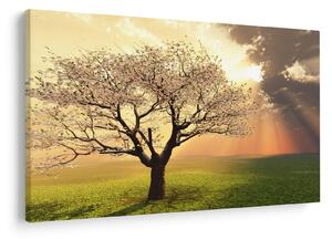 Tablou cu copac pe luncă (90x60 cm)