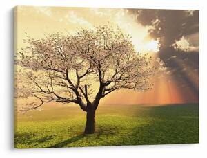 Tablou cu copac pe luncă (70x50 cm)