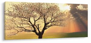 Tablou cu copac pe luncă (120x50 cm)