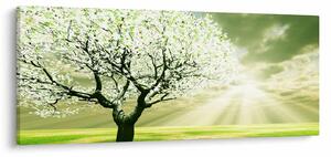 Tablou cu copaci pe luncă (120x50 cm)