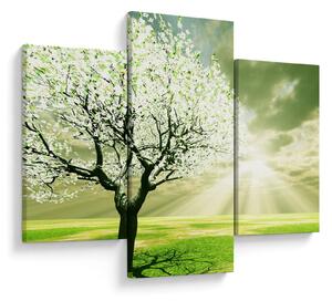 Tablou cu copaci pe luncă (90x60 cm)