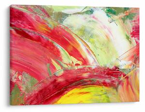 Tablou cu abstracție - pictura (70x50 cm)