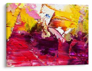 Tablou cu abstracție - pictura (70x50 cm)