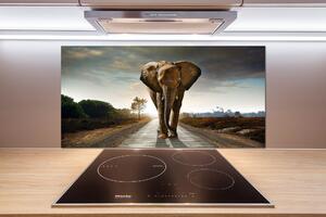 Sticlă pentru bucătărie elefant de mers pe jos