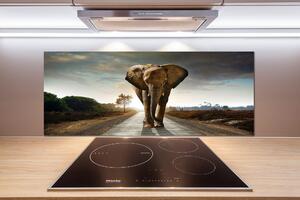 Sticlă pentru bucătărie elefant de mers pe jos