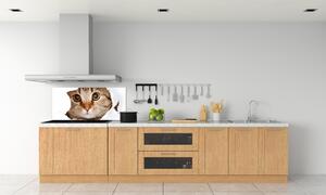 Sticlă bucătărie Pisică
