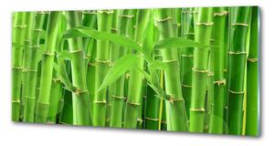 Panou sticla securizata bucatarie bambusul