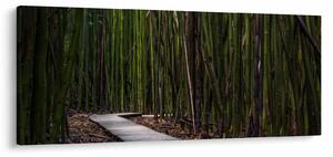 Tablou - Între bambus (120x50 cm)