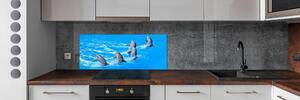 Panou de bucătărie delfini