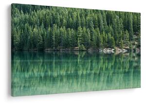 Tablou - Coniferi lângă lac (90x60 cm)