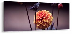 Tablou - Floare (120x50 cm)